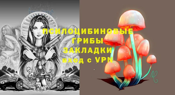 спайс Верея